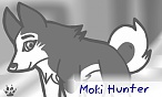 Hunter (the wolf)