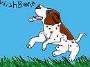Wishbone!!