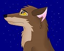 Balto 83