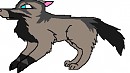 Galaxy and Otzi puppy two