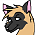 Kat(fursona)