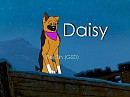 Dats Daisy!!