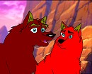 Koko and me