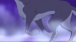 Balto 2 : Wolf Quest picture