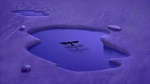 Balto 2 : Wolf Quest picture
