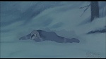 Balto picture