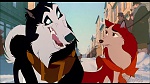 Balto picture