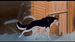 Balto picture