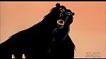 Balto