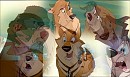 Star, Nikki, Kaltag