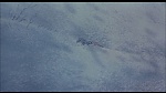Balto picture