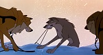 Balto