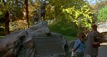 Balto picture