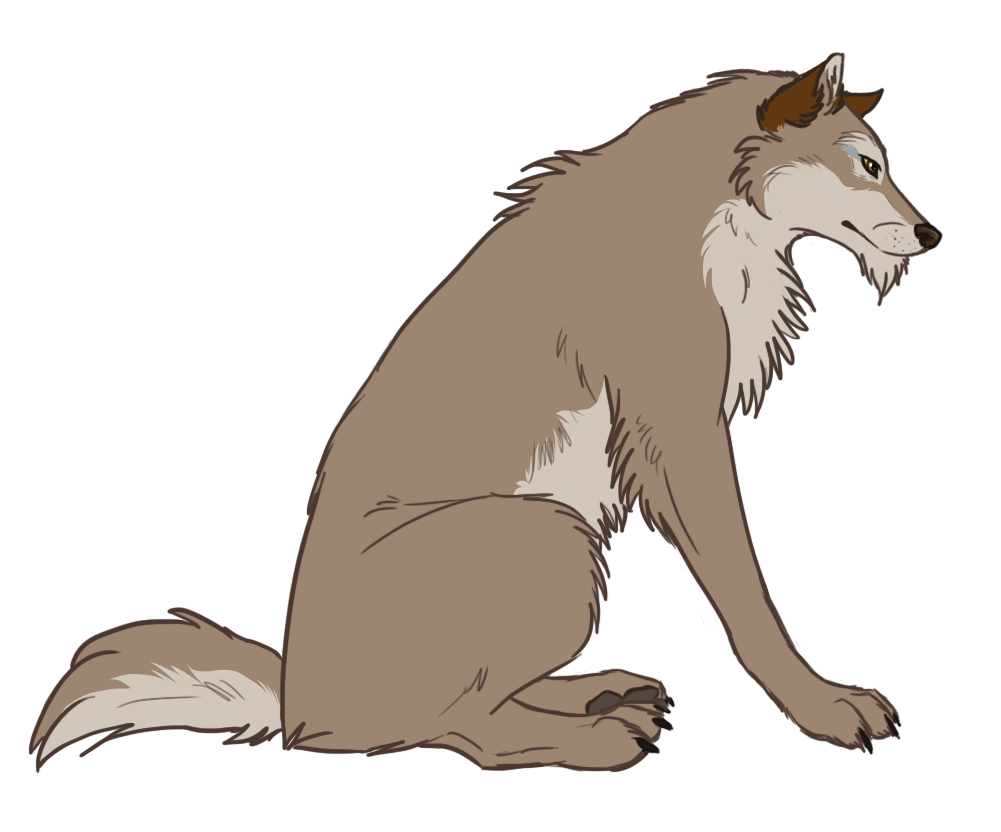 nava.png