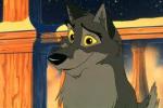 Tramp and Balto Similariaties