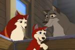 Saba and Dingo: who is who?