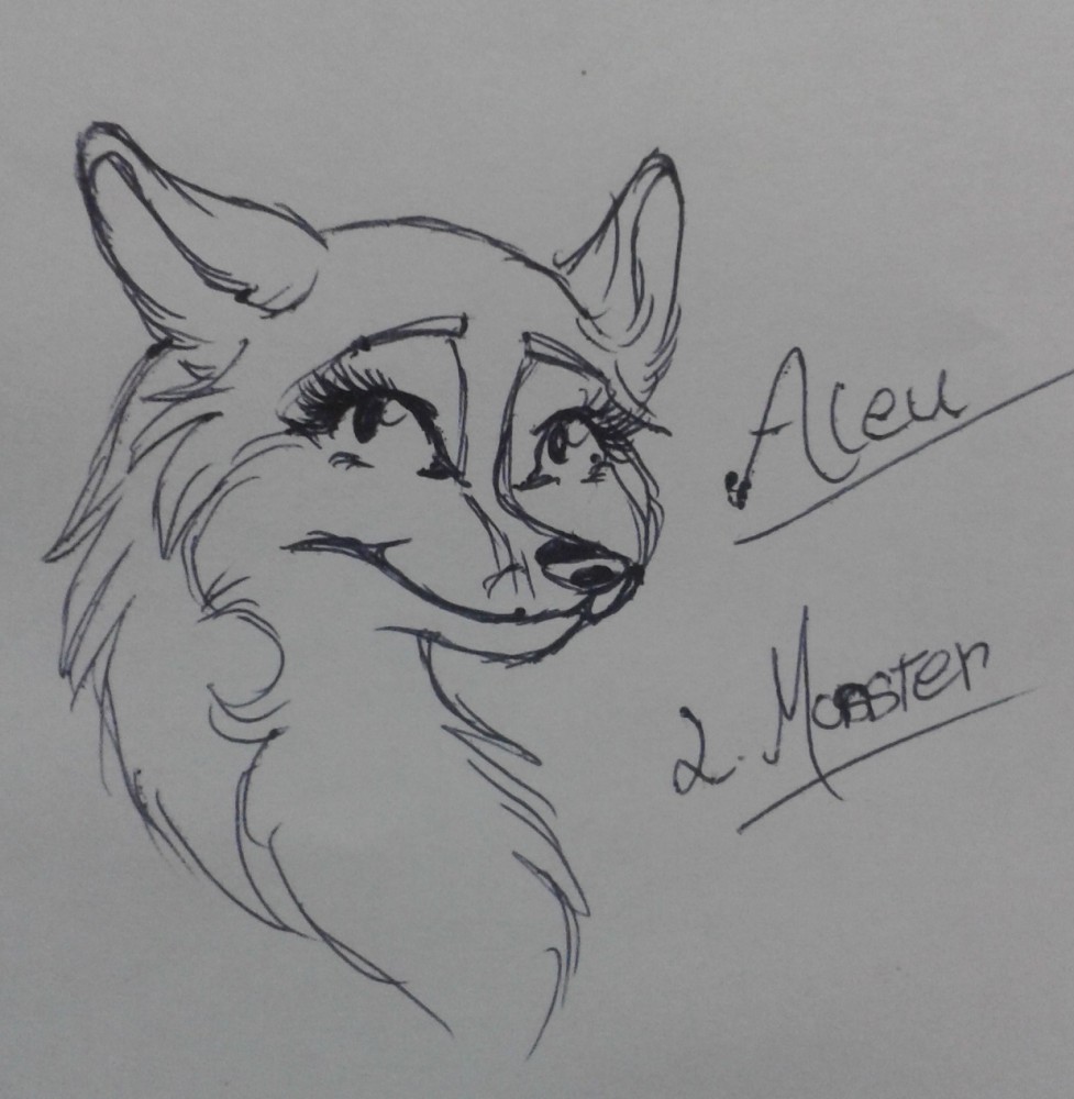 Aleu