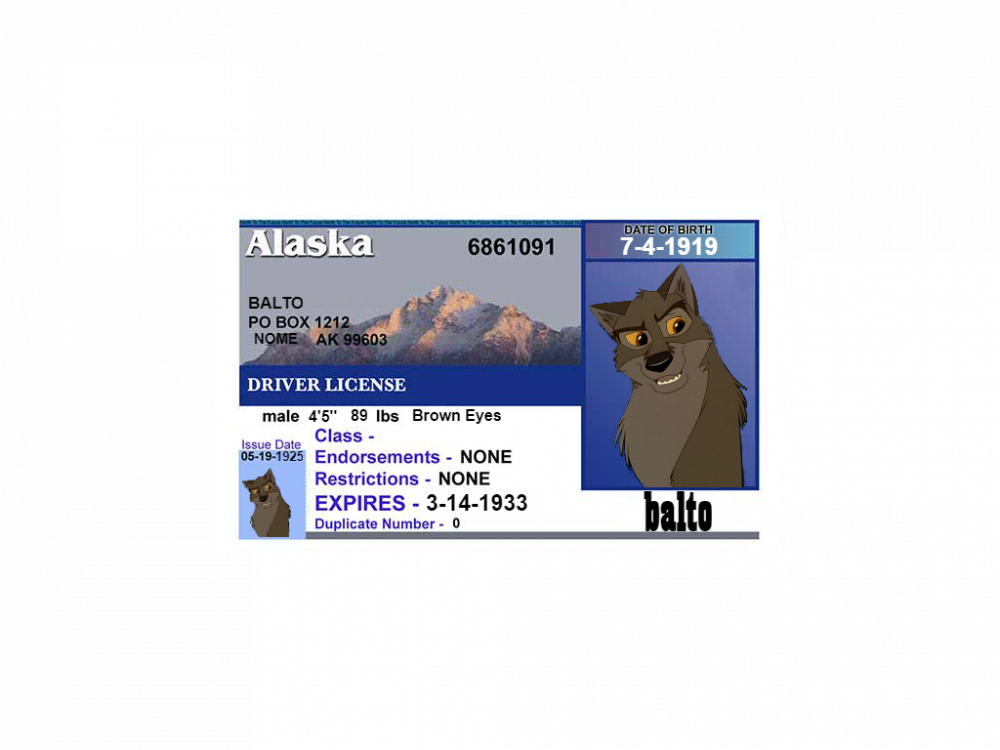 Balto can drive