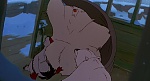Image Balto
