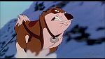 Image Balto