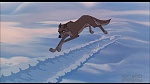 Image Balto