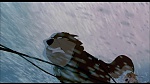 Image Balto