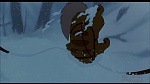 Image Balto