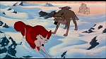 Image Balto