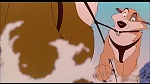 Image Balto