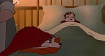Image Balto