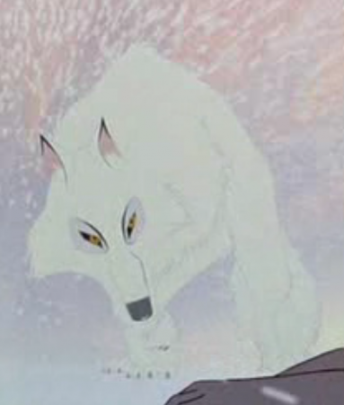 Detail White Wolf