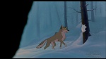 Image Balto