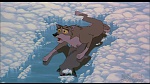 Image Balto