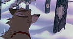 Image Balto