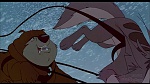 Image Balto