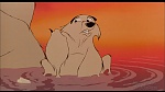 Image Balto