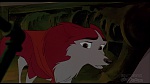 Image Balto