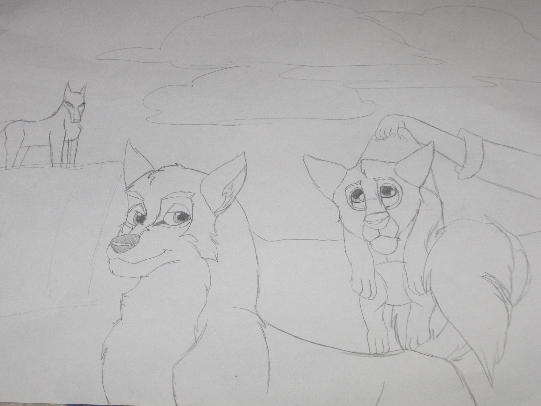 dessins_animation_source.jpg