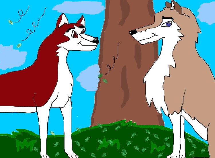 aleu_pas_fini.jpg