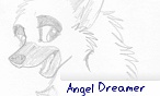 Shadow's_angel :B