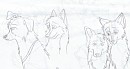 Couples who need moar love ^^