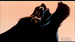 Image Balto