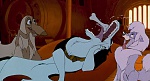 Image Balto