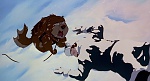 Image Balto