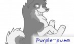 purple_puma