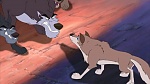 Image Balto 2 : Wolf Quest
