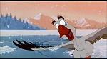 Image Balto
