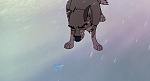 Image Balto