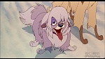 Image Balto