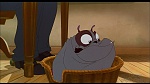 Image Balto